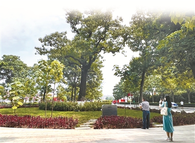 1669333505759866.jpg 5.jpg