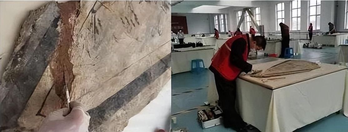 1680434665420086998.jpg 1680434665420086998.jpg