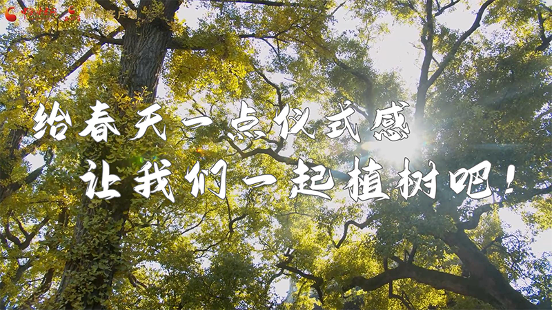 短視頻|給春天一點儀式感,讓我們一起植樹吧!