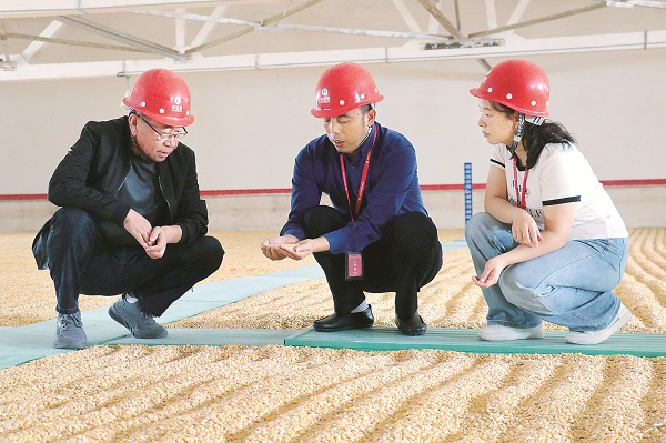 1695856831348903.jpeg W020230928257875637896.jpeg