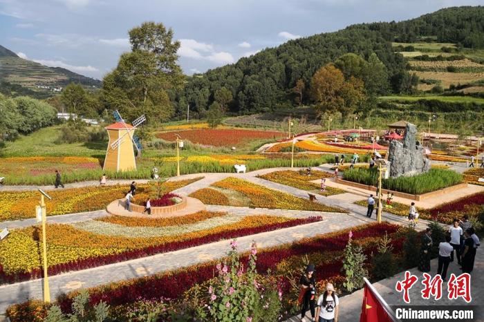 圖為航拍甘肅甘南臨潭縣八角鎮(zhèn),花海吸引游人。(資料圖)高展 攝 圖為航拍甘肅甘南臨潭縣八角鎮(zhèn),花海吸引游人。(資料圖)高展 攝