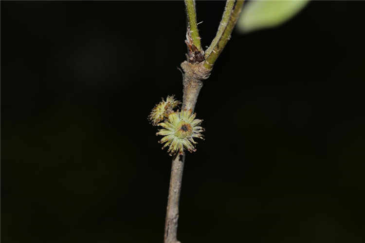 1708312779103194.jpg 26-2.jpg