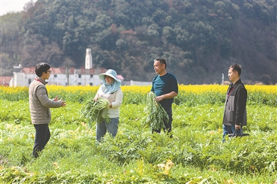 1710893758764379.jpg 2.jpg