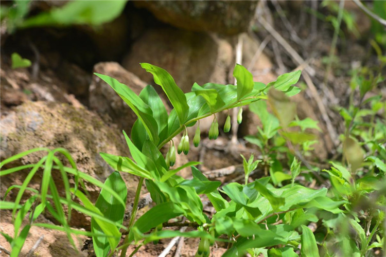 1712131553426813.jpg 7-2.jpg