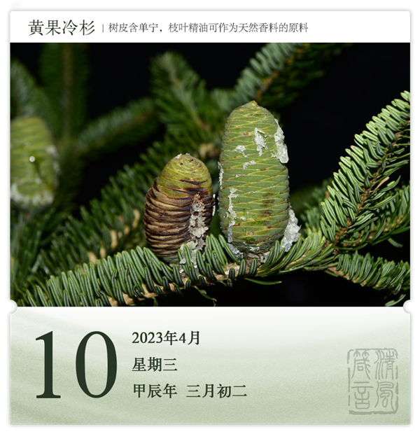 1712646899475962.png 箴歷日歷4-10.png