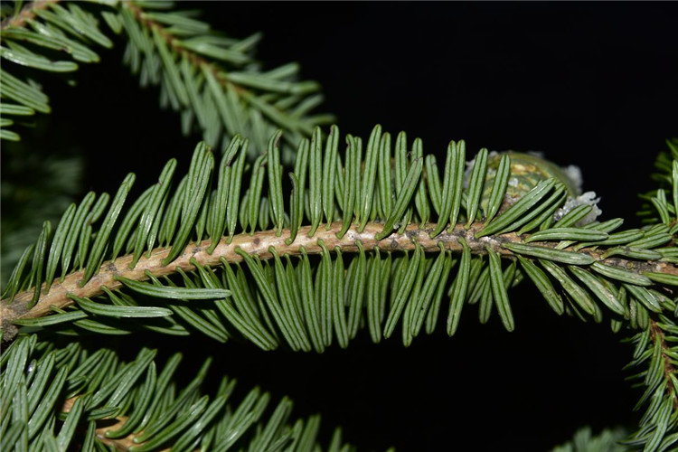 1712646953923408.jpg 10-2.jpg