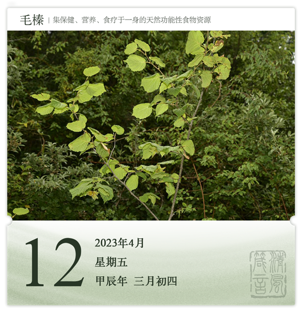 1712647395648145.png 箴歷日歷4-12.png