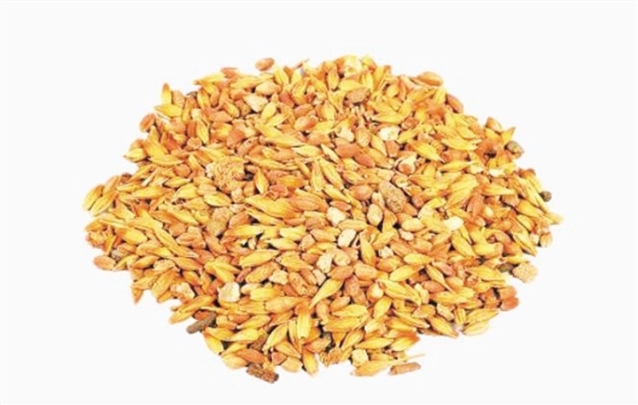 出土谷物(資料圖)