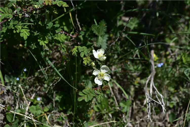 1713857559669266.jpg 24-2.jpg