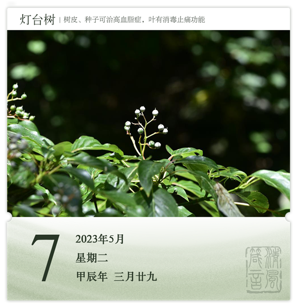 1714274685659559.png 箴歷日歷5-7.png