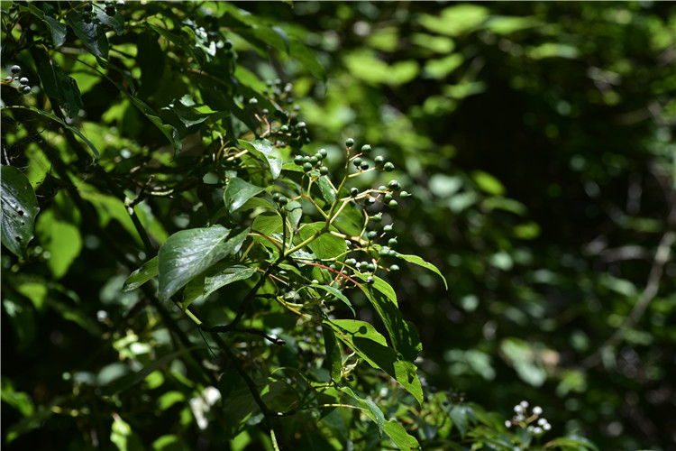 1714274705769690.jpg 7-2.jpg