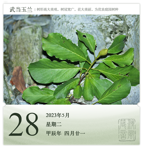 1714286488113202.png 箴歷日歷5-28.png