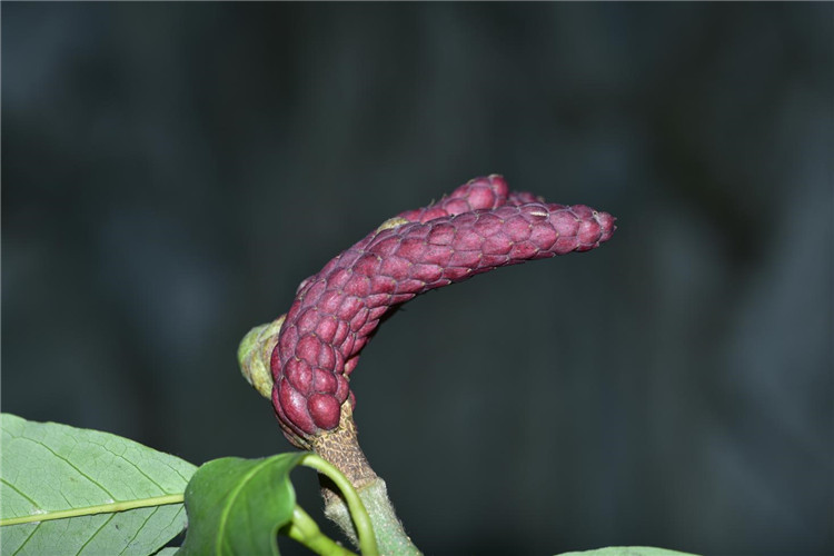 1714286513318121.jpg 28-2.jpg