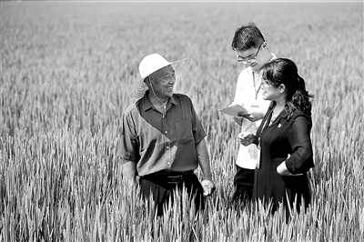 1719273694158334.jpg 2.jpg