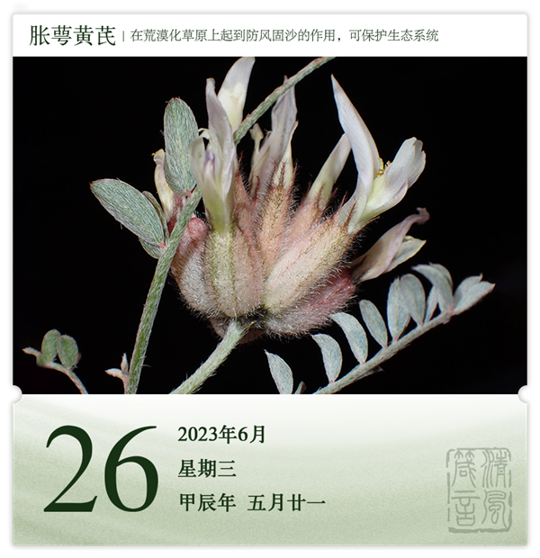 1718093239585734.png 箴歷日歷6-26.png