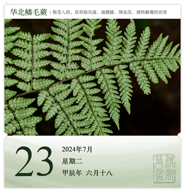 1721637973648070.png 箴歷日歷7-23.png