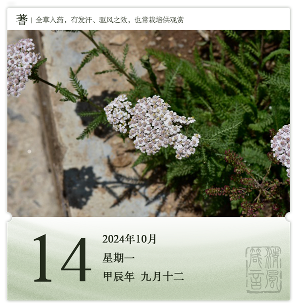 1728714743676687.png 箴歷日歷10-14.png