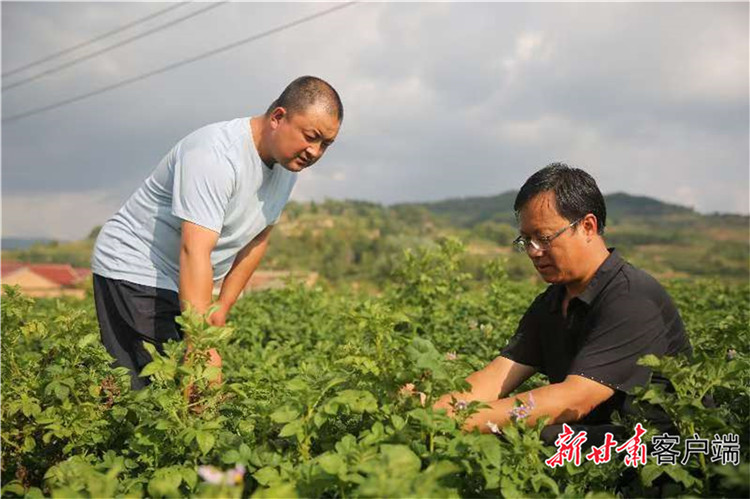 1730256187969649.jpg 33.jpg