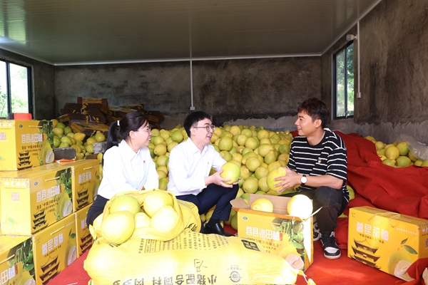 1731368357288356.jpeg W020241112271648676605.jpeg