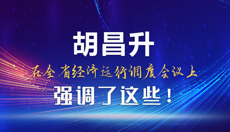 圖解|胡昌升在全省經濟運行調度會議上強調了這些！