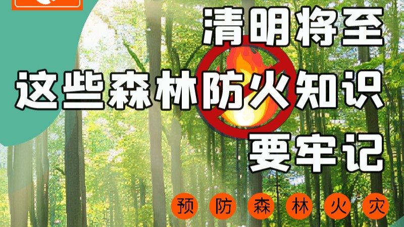 【甘快看】圖解|緊繃“安全弦”！清明，這些森林防火知識要牢記