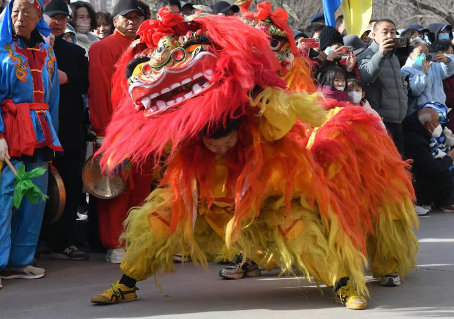 蘭州北獅表演現場。受訪者供圖