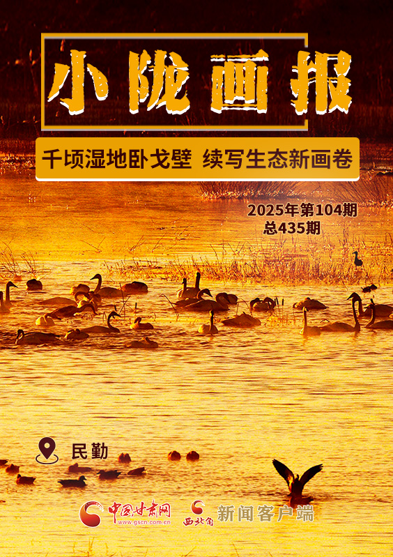 【小隴畫報·435期】民勤：千頃濕地臥戈壁 續寫生態新畫卷